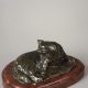 Théophile-Alexandre Steinlen (1859-1923), "Chat de Perse", bronze à patine brun nuancé, fonte ancienne, long. socle 25,8 cm, sculptures - galerie Tourbillon, Paris