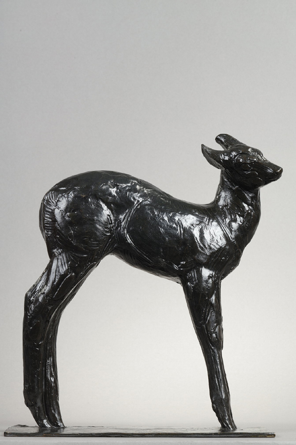 Rembrandt Bugatti (1884-1916), Petit Faon Axis, bronze à patine brun foncé nuancé, fonte Hébrard, haut. 31,7 cm, sculptures - galerie Tourbillon, Paris